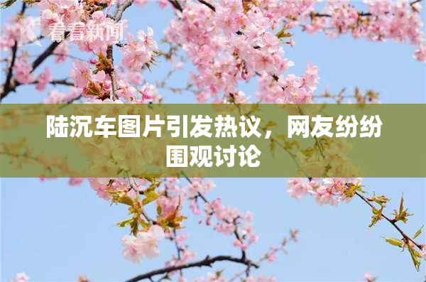 陆沉车图片引发热议，网友纷纷围观讨论