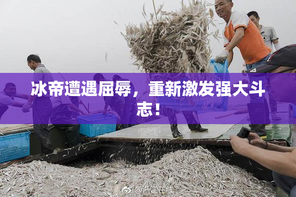 冰帝遭遇屈辱，重新激发强大斗志！