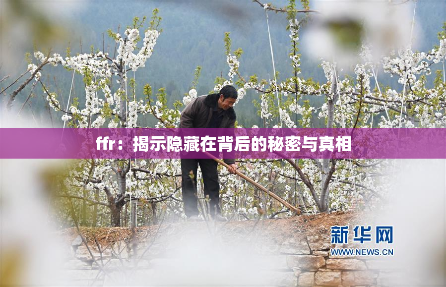 ffr：揭示隐藏在背后的秘密与真相