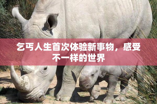乞丐人生首次体验新事物，感受不一样的世界
