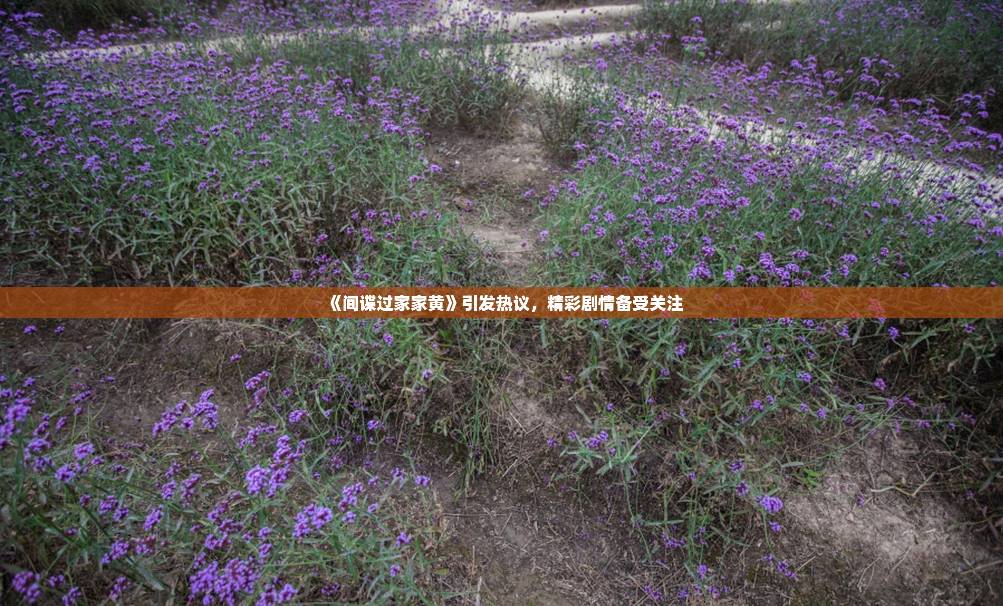 《间谍过家家黄》引发热议，精彩剧情备受关注