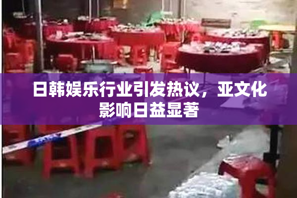 日韩娱乐行业引发热议，亚文化影响日益显著