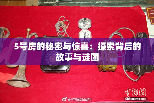 5号房的秘密与惊喜：探索背后的故事与谜团