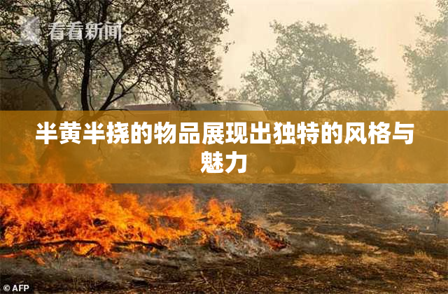 半黄半挠的物品展现出独特的风格与魅力