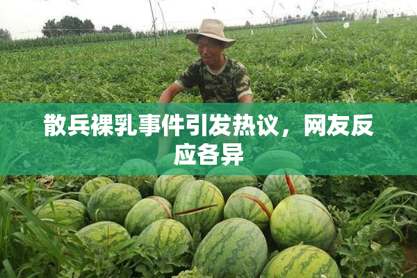 散兵裸乳事件引发热议，网友反应各异
