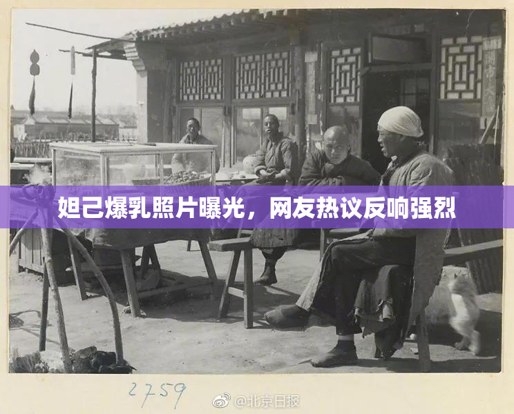 妲己爆乳照片曝光，网友热议反响强烈