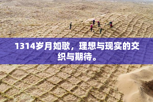 1314岁月如歌，理想与现实的交织与期待。