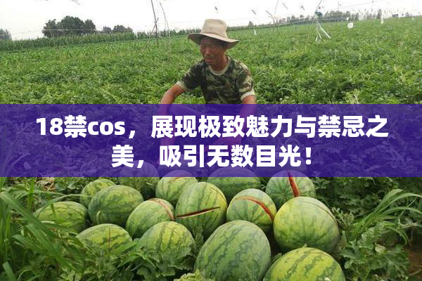 18禁cos，展现极致魅力与禁忌之美，吸引无数目光！