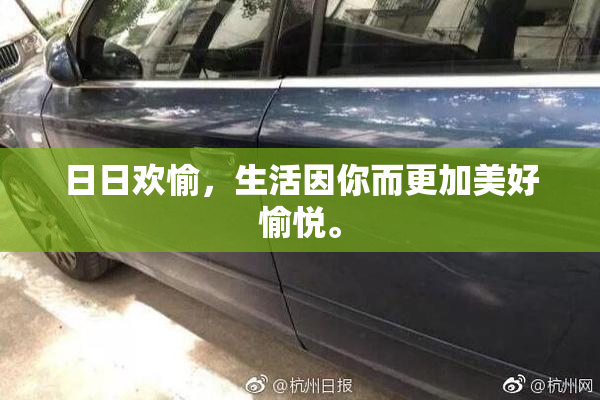 日日欢愉，生活因你而更加美好愉悦。