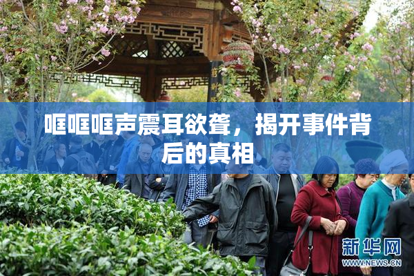 哐哐哐声震耳欲聋，揭开事件背后的真相