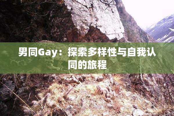 男同Gay：探索多样性与自我认同的旅程