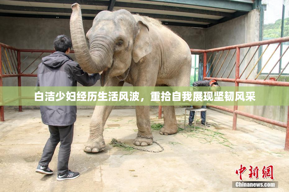 白洁少妇经历生活风波，重拾自我展现坚韧风采