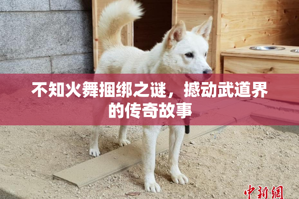 不知火舞捆绑之谜，撼动武道界的传奇故事
