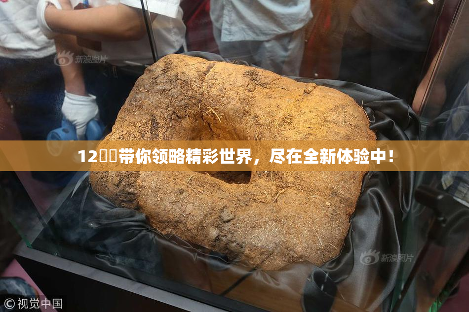 12妺妺带你领略精彩世界，尽在全新体验中！