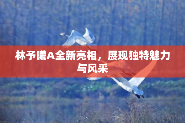 林予曦A全新亮相，展现独特魅力与风采