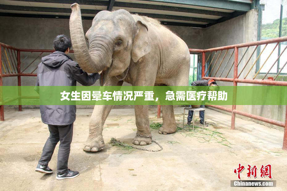 女生因晕车情况严重，急需医疗帮助