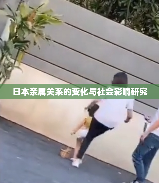 日本亲属关系的变化与社会影响研究