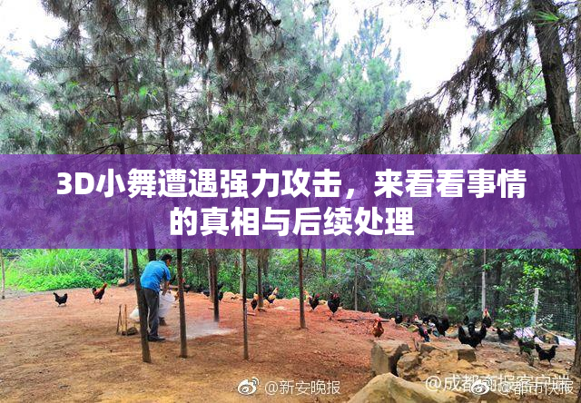 3D小舞遭遇强力攻击，来看看事情的真相与后续处理