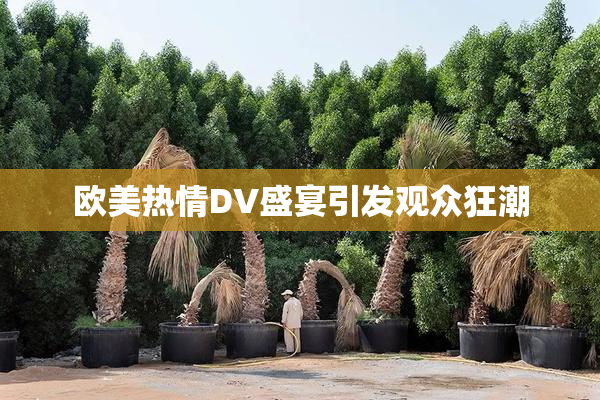 欧美热情DV盛宴引发观众狂潮