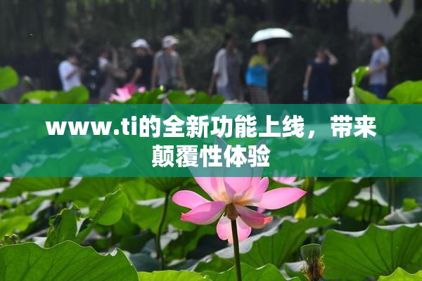 www.ti的全新功能上线，带来颠覆性体验