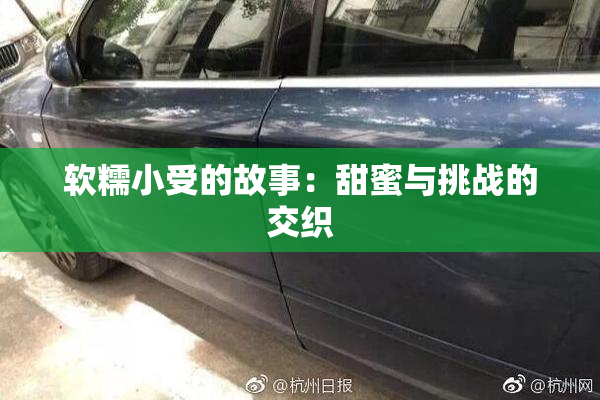 软糯小受的故事：甜蜜与挑战的交织