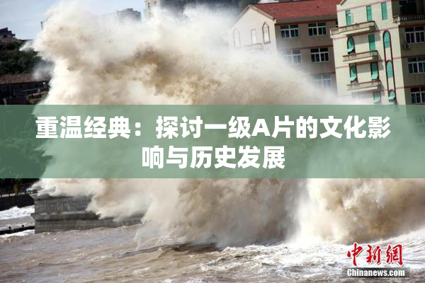重温经典：探讨一级A片的文化影响与历史发展