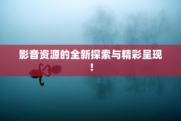 影音资源的全新探索与精彩呈现！