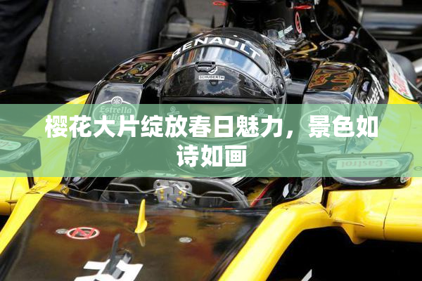 樱花大片绽放春日魅力，景色如诗如画