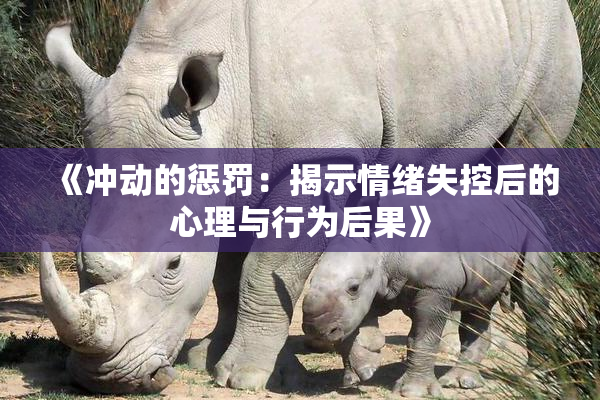 《冲动的惩罚：揭示情绪失控后的心理与行为后果》