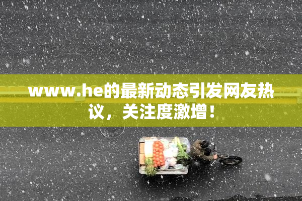 www.he的最新动态引发网友热议，关注度激增！