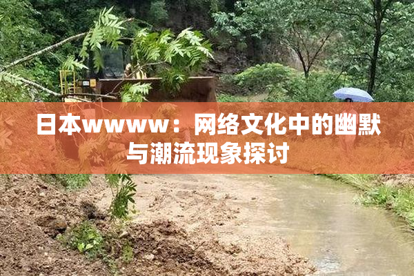日本wwww：网络文化中的幽默与潮流现象探讨