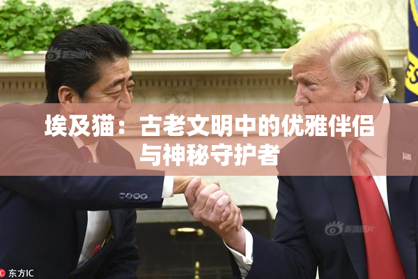 埃及猫：古老文明中的优雅伴侣与神秘守护者