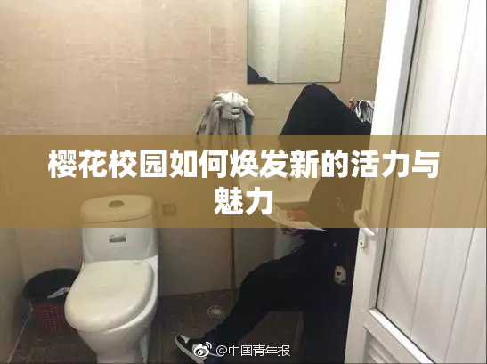 樱花校园如何焕发新的活力与魅力