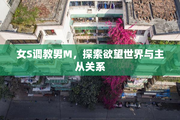 女S调教男M，探索欲望世界与主从关系