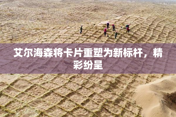 艾尔海森将卡片重塑为新标杆，精彩纷呈