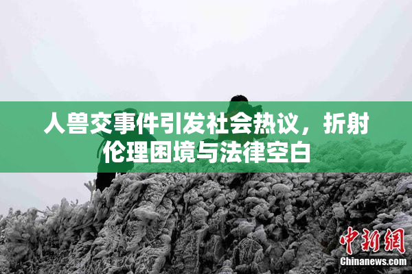 人兽交事件引发社会热议，折射伦理困境与法律空白