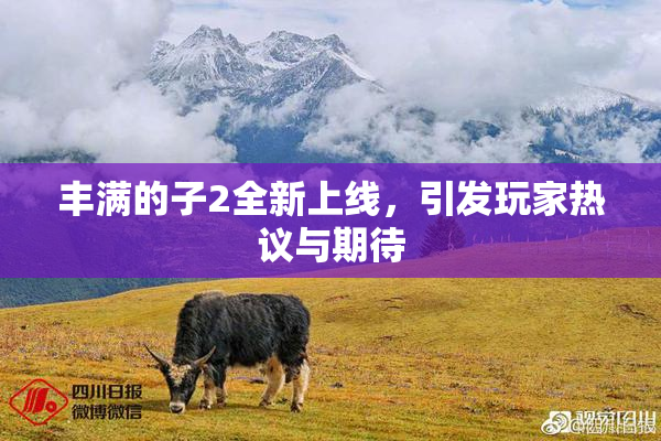 丰满的子2全新上线，引发玩家热议与期待