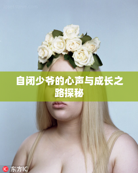 自闭少爷的心声与成长之路探秘