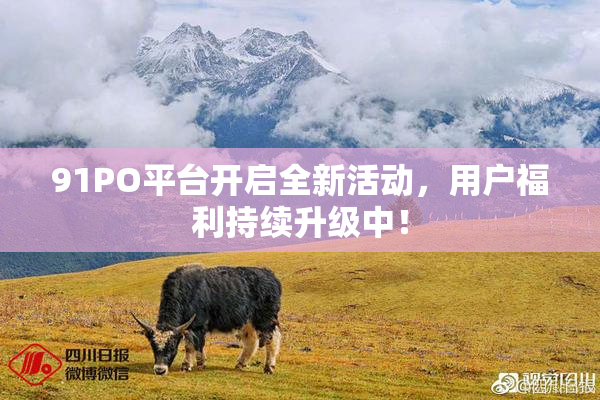 91PO平台开启全新活动，用户福利持续升级中！