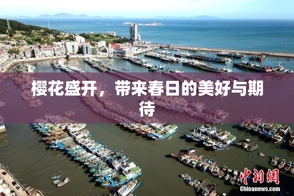 樱花盛开，带来春日的美好与期待