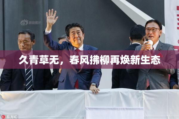 久青草无，春风拂柳再焕新生态