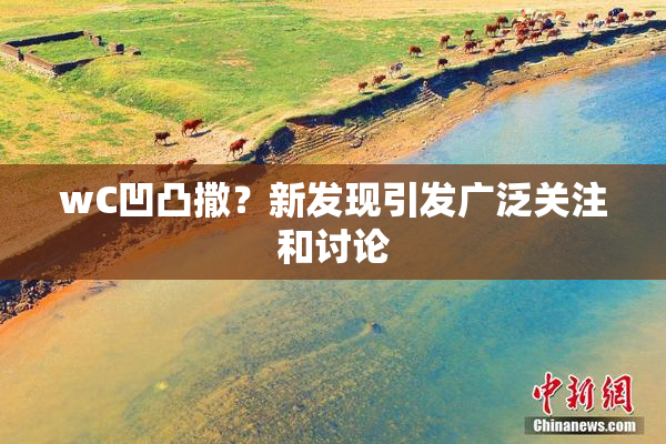 wC凹凸撒？新发现引发广泛关注和讨论