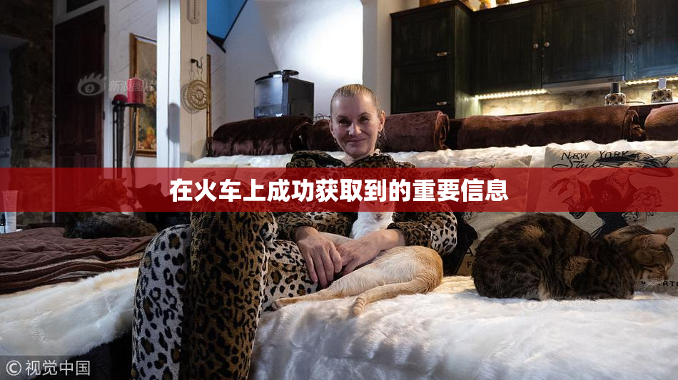 在火车上成功获取到的重要信息