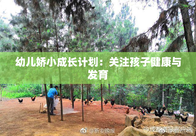 幼儿娇小成长计划：关注孩子健康与发育
