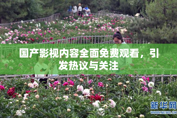 国产影视内容全面免费观看，引发热议与关注
