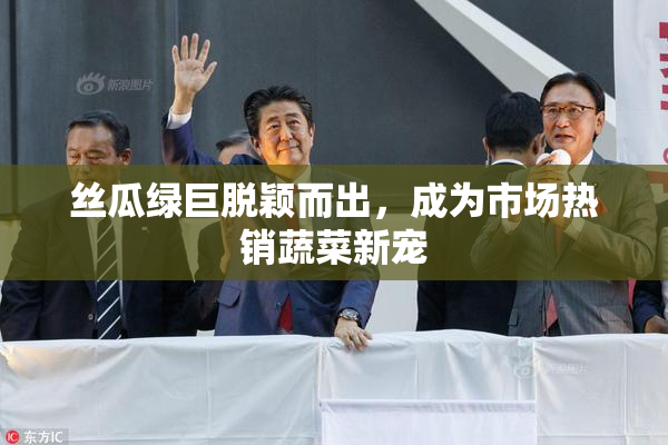 丝瓜绿巨脱颖而出，成为市场热销蔬菜新宠