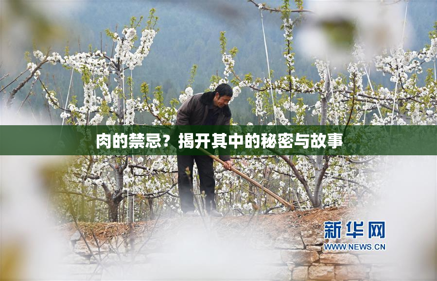 肉的禁忌？揭开其中的秘密与故事