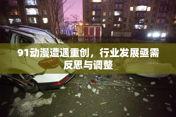 91动漫遭遇重创，行业发展亟需反思与调整