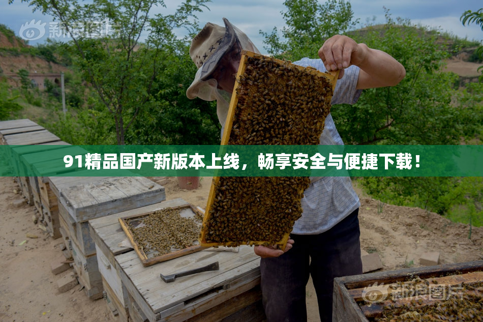 91精品国产新版本上线，畅享安全与便捷下载！