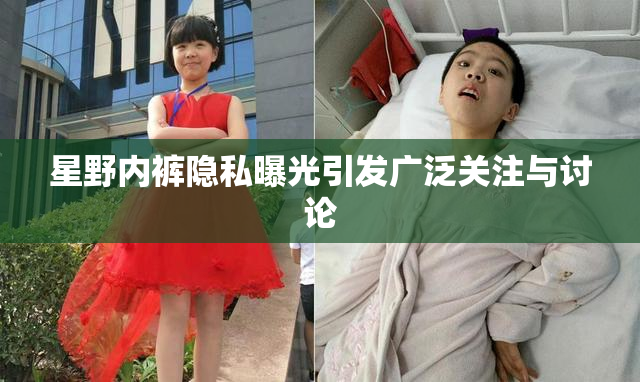 星野内裤隐私曝光引发广泛关注与讨论